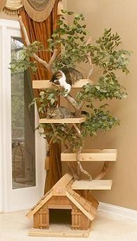 arbre a chat recup